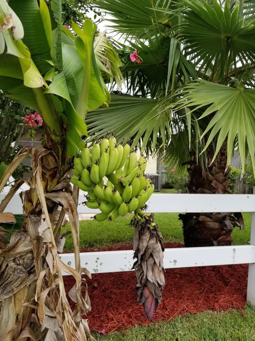 Photo of 1813 Cape Palos Drive