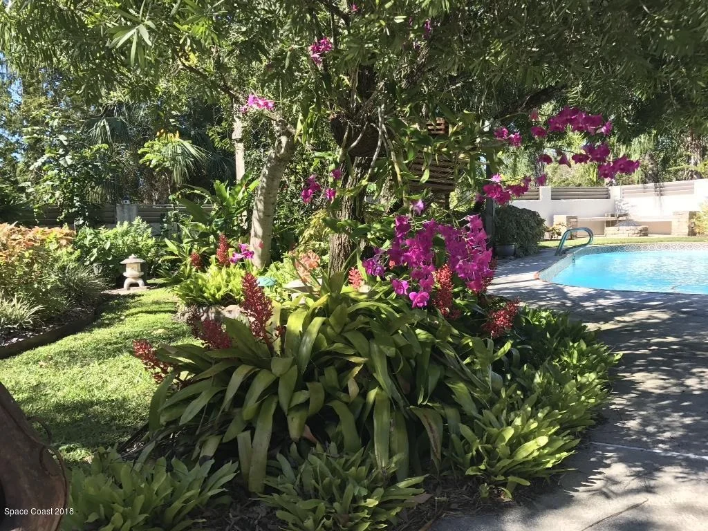 Photo of 1217 Sand Pine Circle