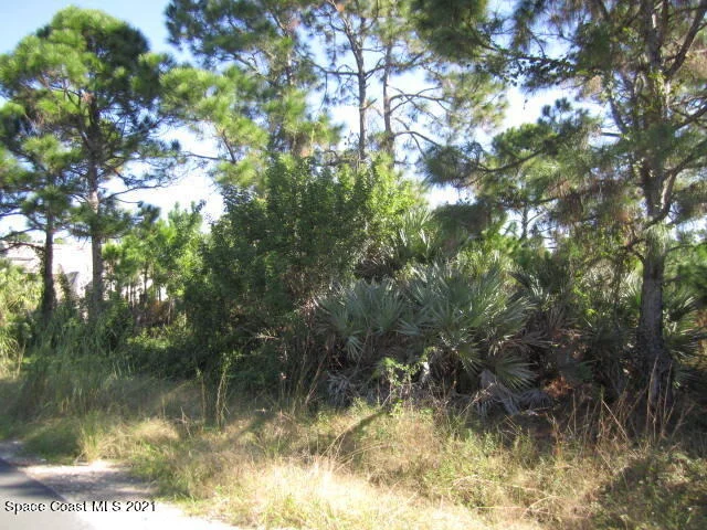Photo of 2969 Fig Road SE