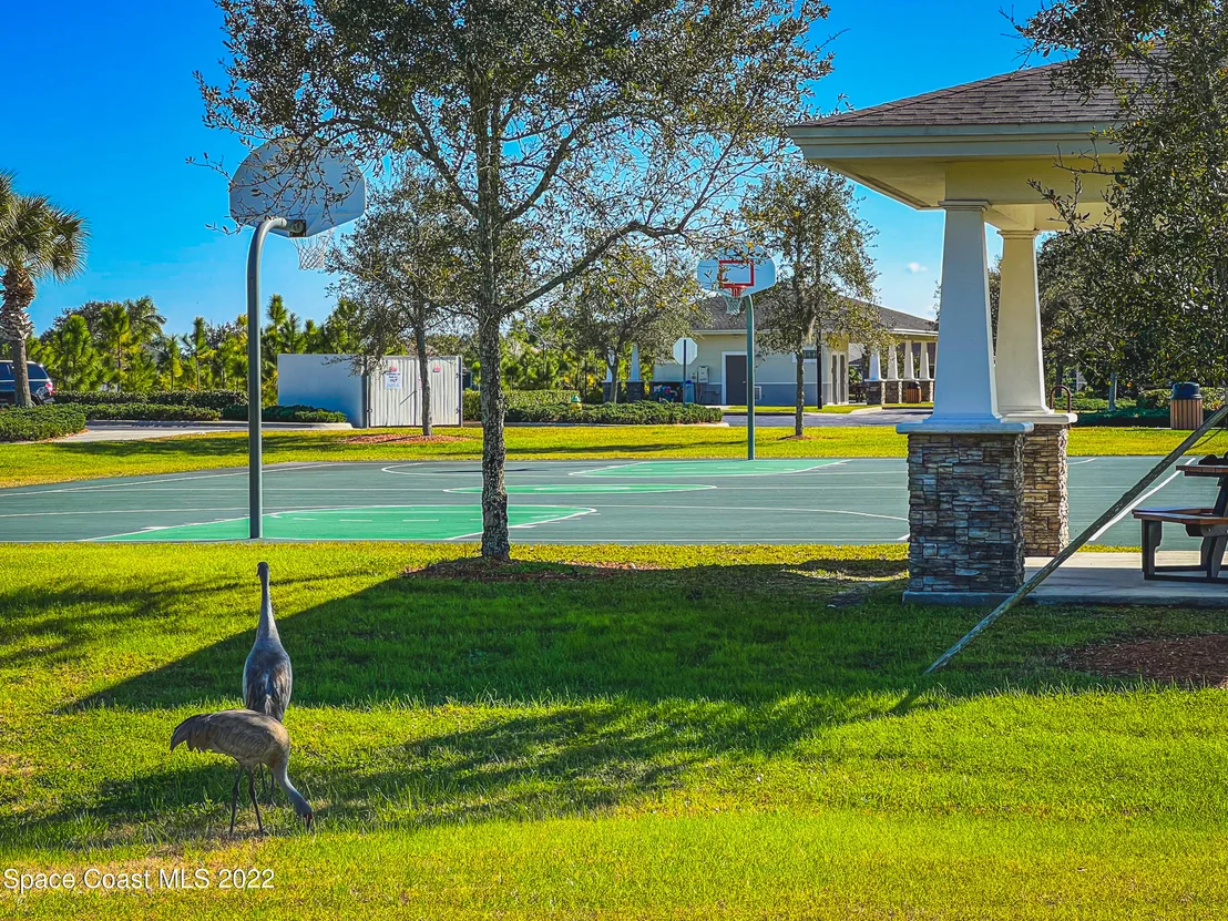 Photo of 3381 Gatlin Drive