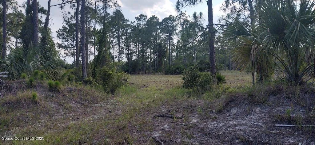 Photo of 7194 Orchid Tree Drive