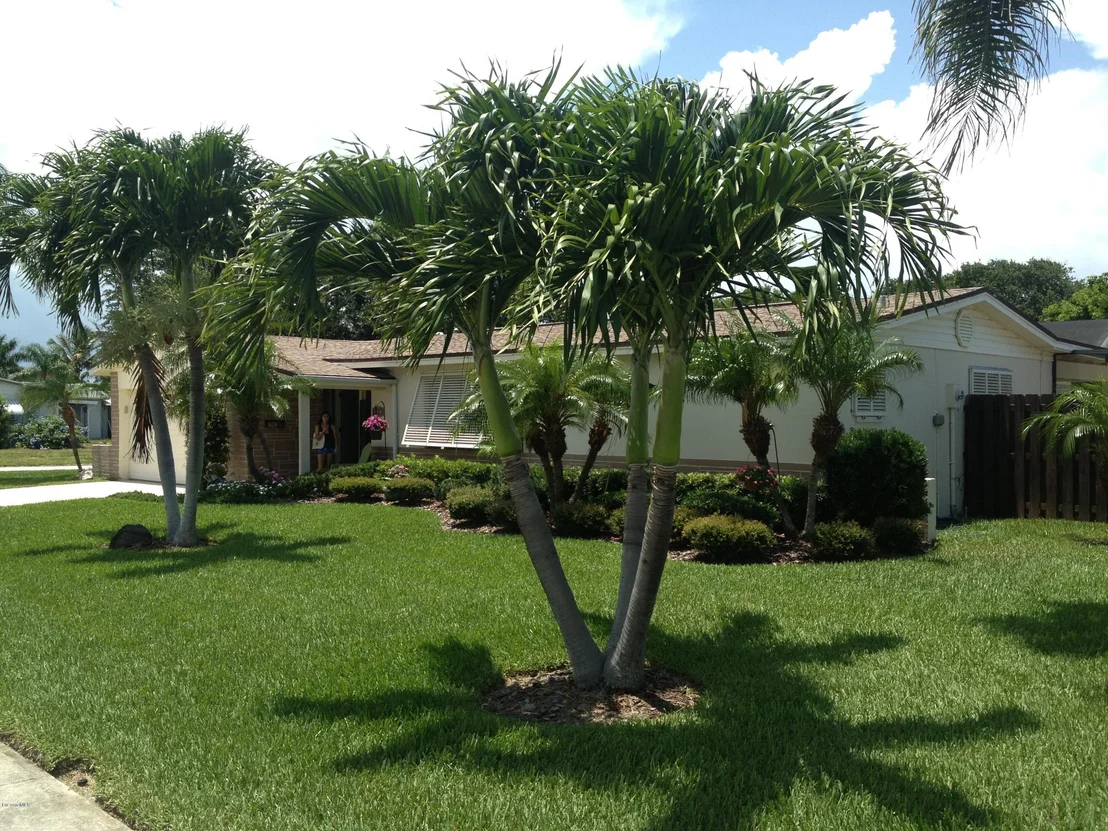 Photo of 461 Skylark Boulevard