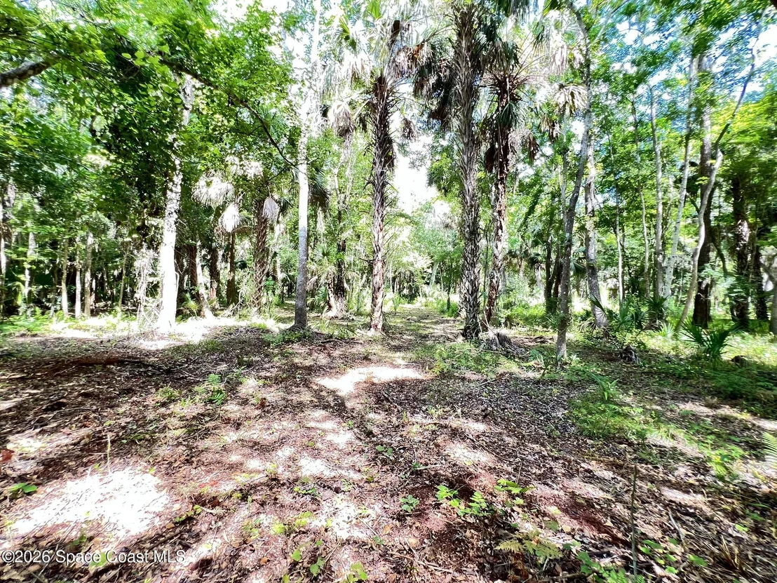 Photo of 1239,41,43 County Road 309