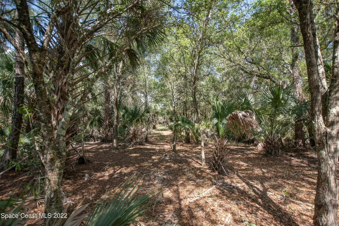 Photo of 1131 Owl Circle