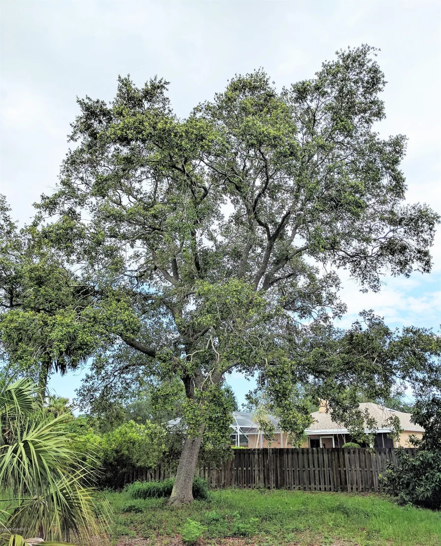 Photo of 53 Nina Jean Drive