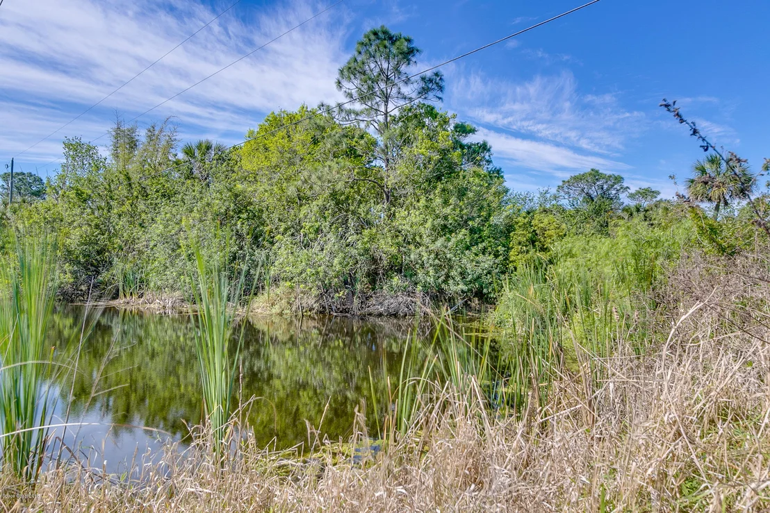 Photo of 3050 Washingtonia Drive