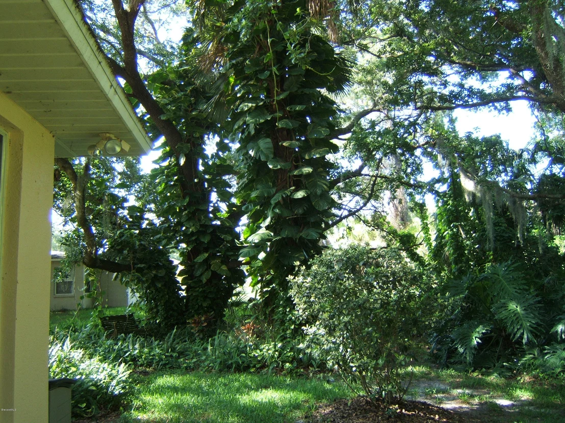 Photo of 7235 Carillon Avenue