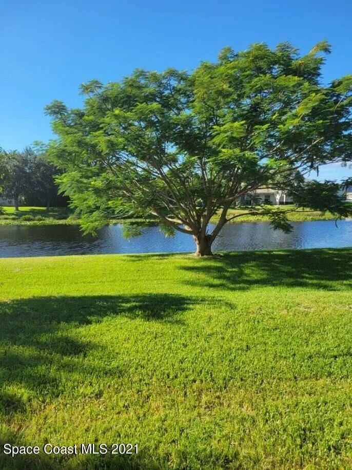 Photo of 4088 San Beluga Way