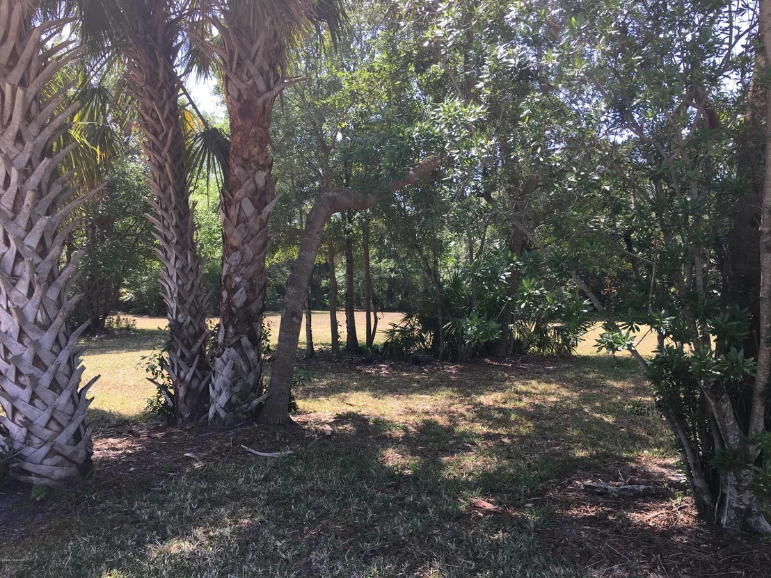 Photo of 1839 Sabal Palm Drive