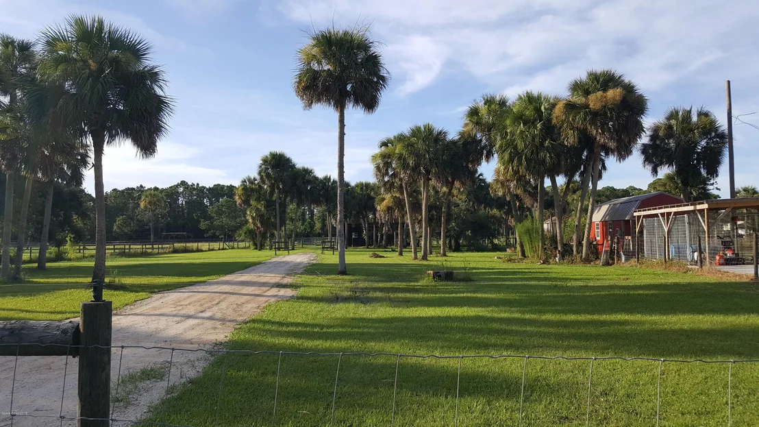 Photo of 1995 Cox Road