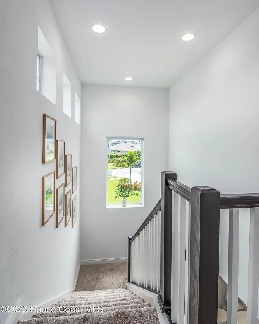 Photo of 3199 Ribbon Grass Drive