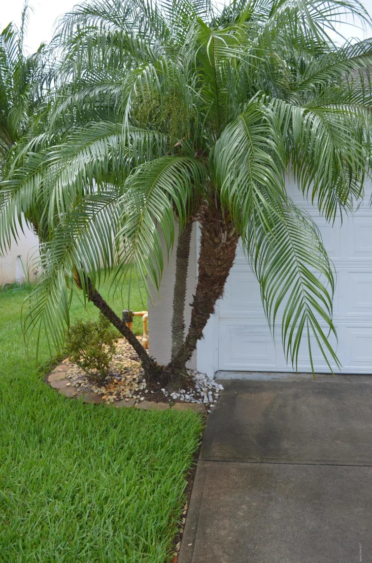 Photo of 4087 Mount Carmel Lane