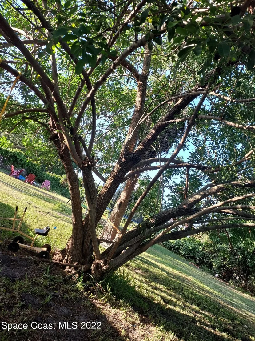 Photo of 1423 Cindy Circle NE
