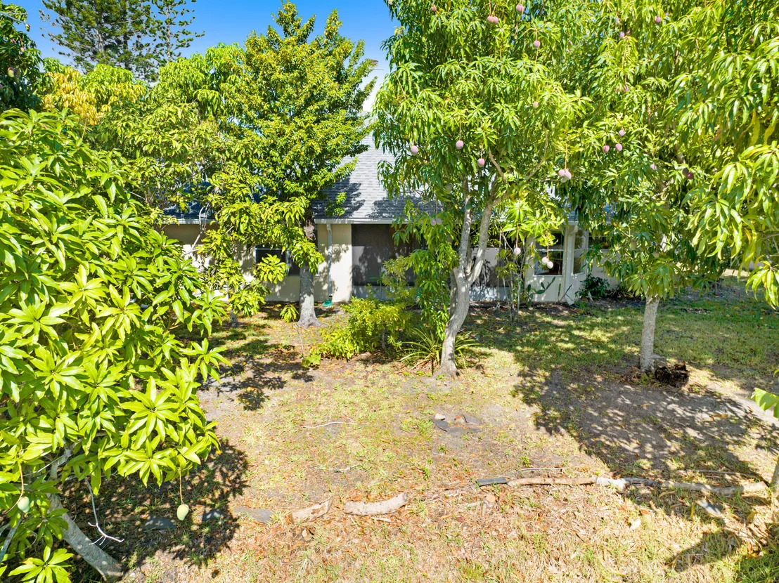 Photo of 1238 Weeping Willow Lane