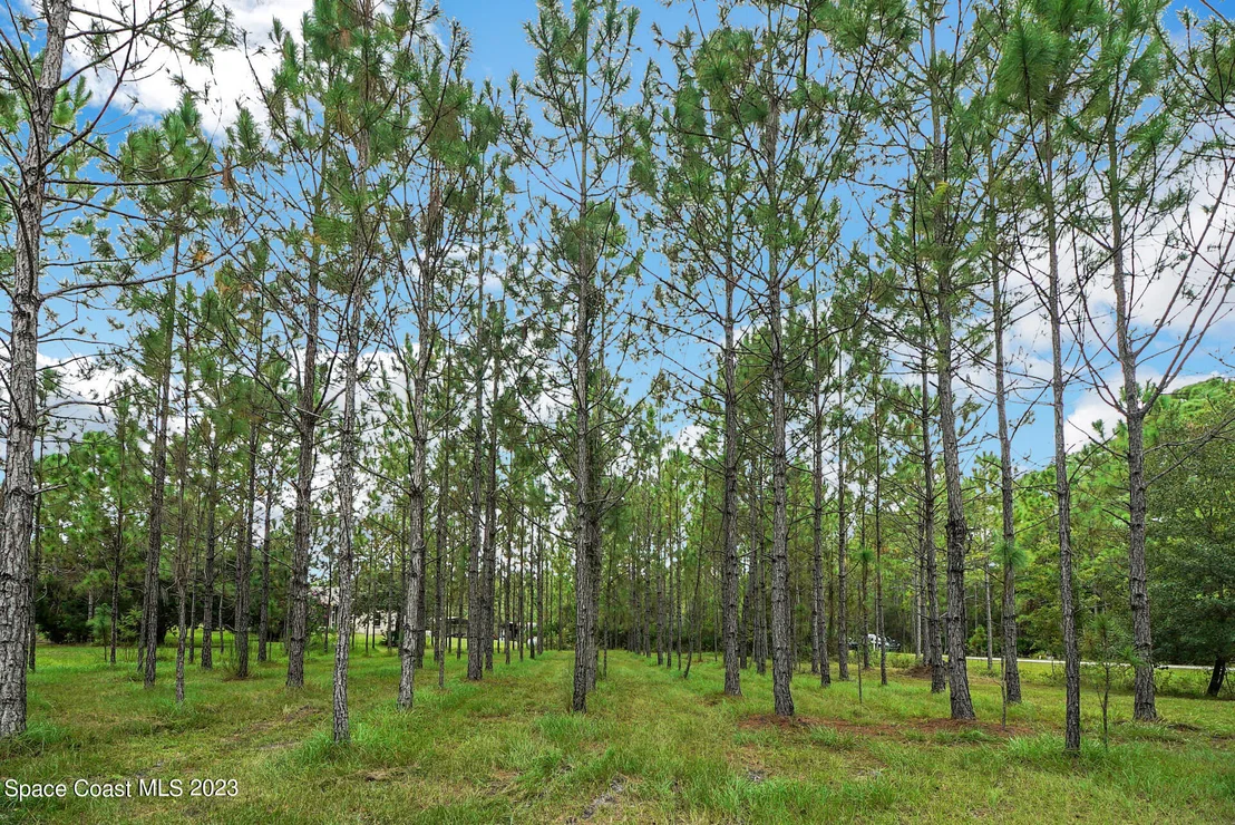 Photo of 1001 Shellcracker Road