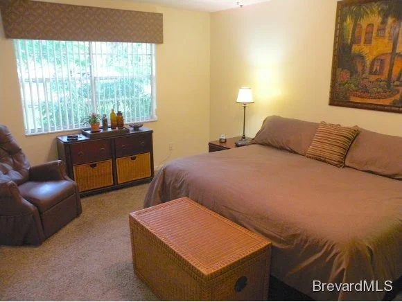 Photo of 4155 Skyway Drive