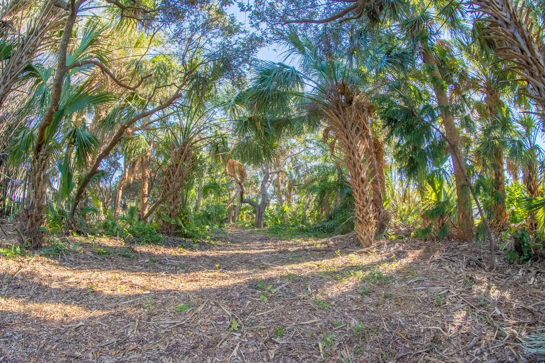 Photo of 403 Poinsettia Road