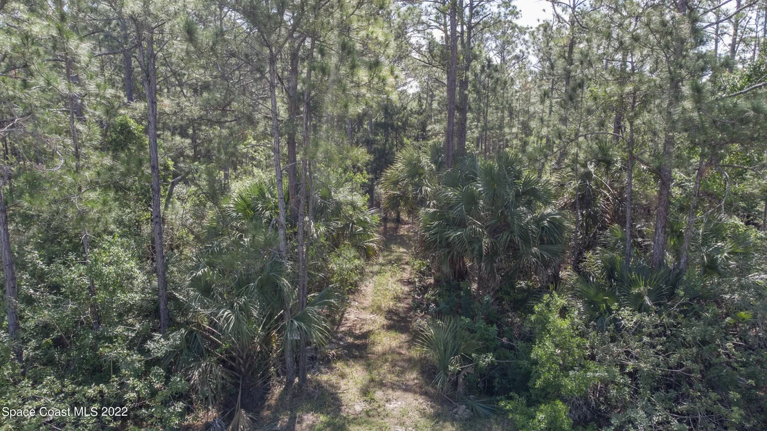 Photo of 1131 Owl Circle
