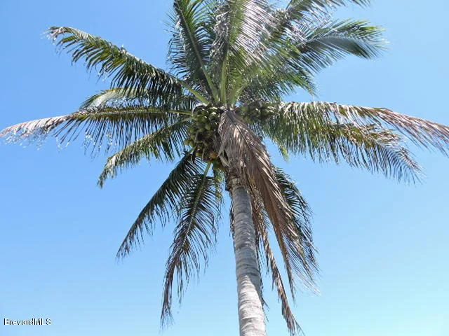 Photo of 145 Melaleuca Drive