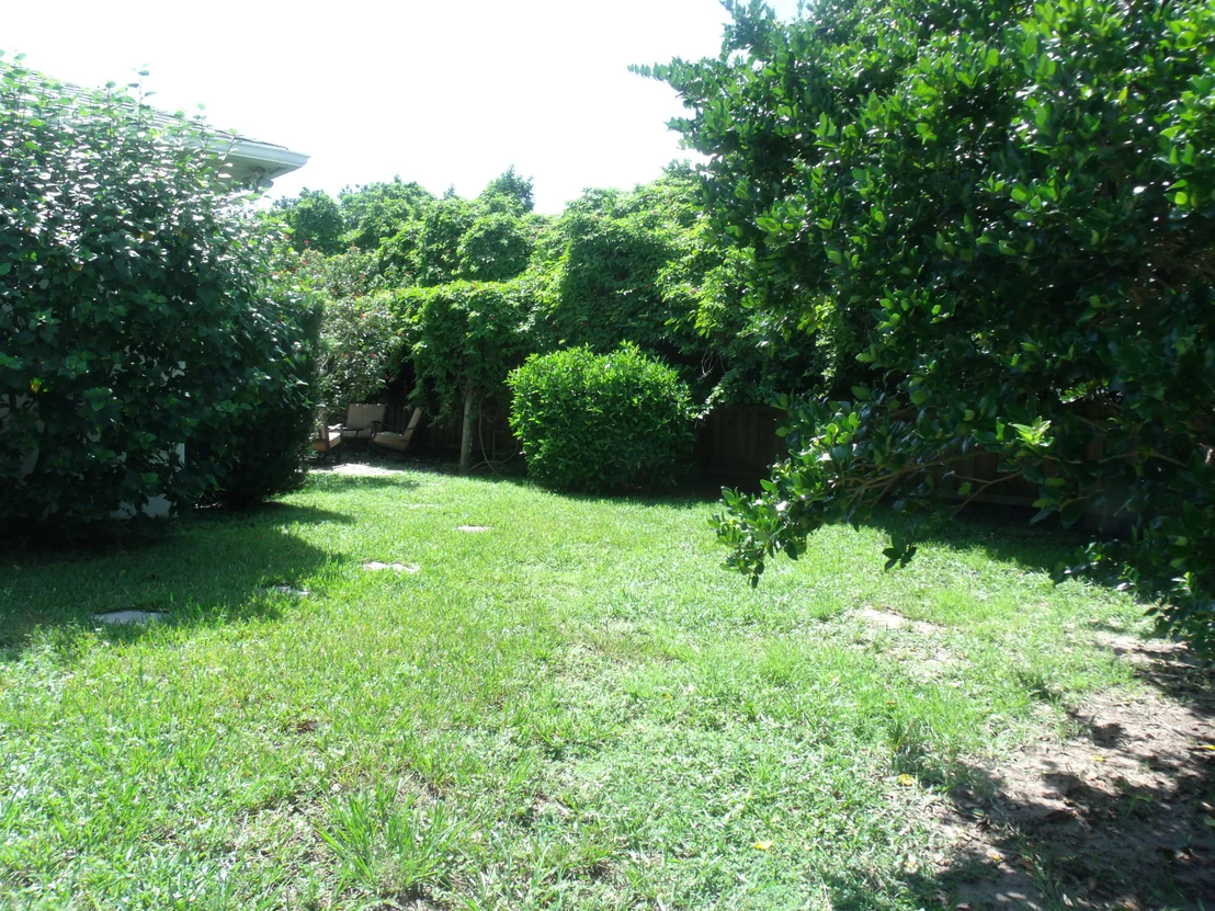 Photo of 3331 Craggy Bluff Place