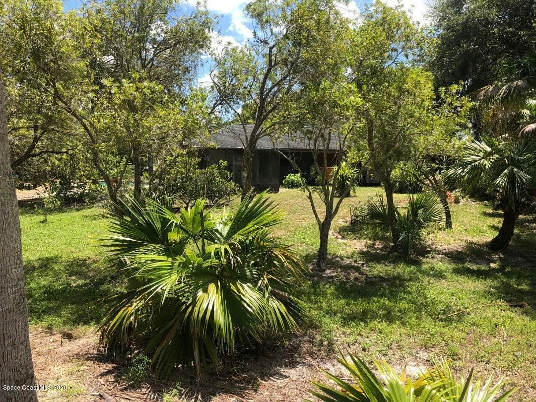 Photo of 1175 Marie Street