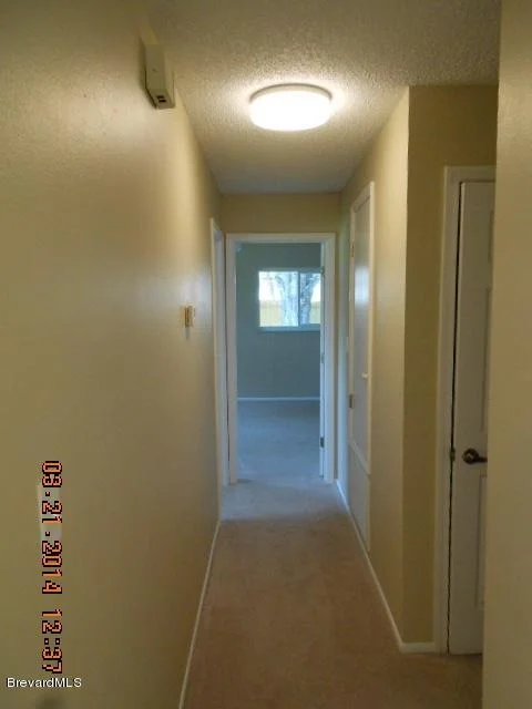 Photo of 1165 Manatee Drive