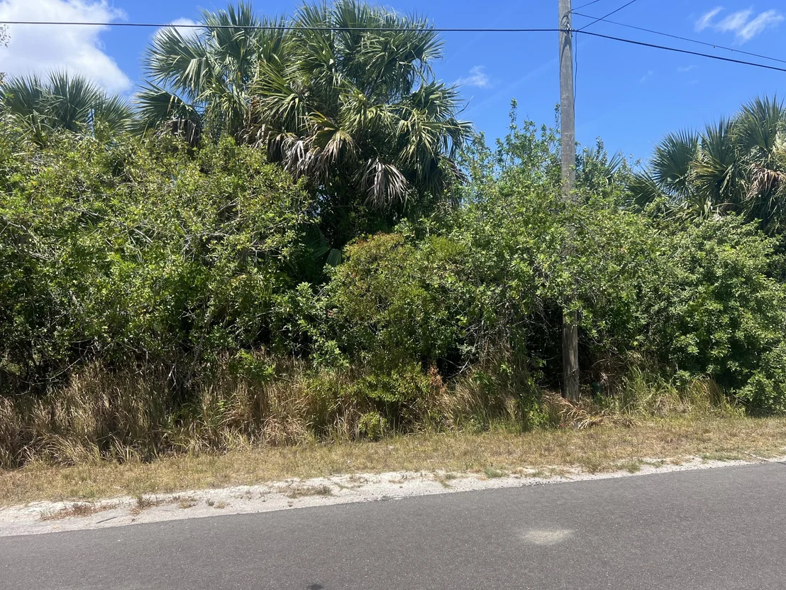 Photo of 548 Macon Street