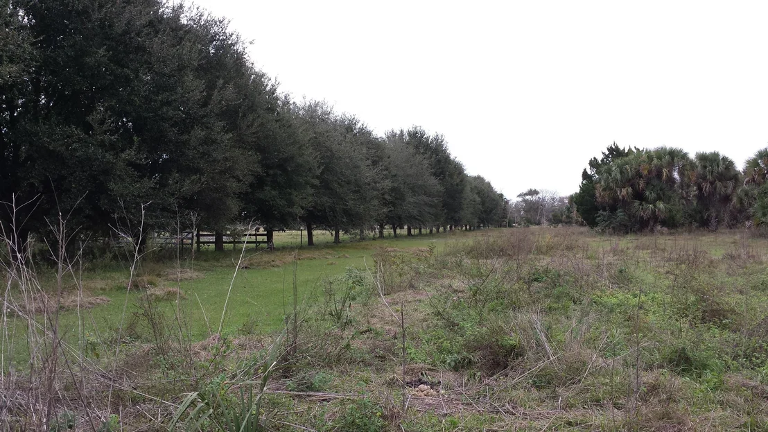 Photo of 6767 Laurel Oak Avenue