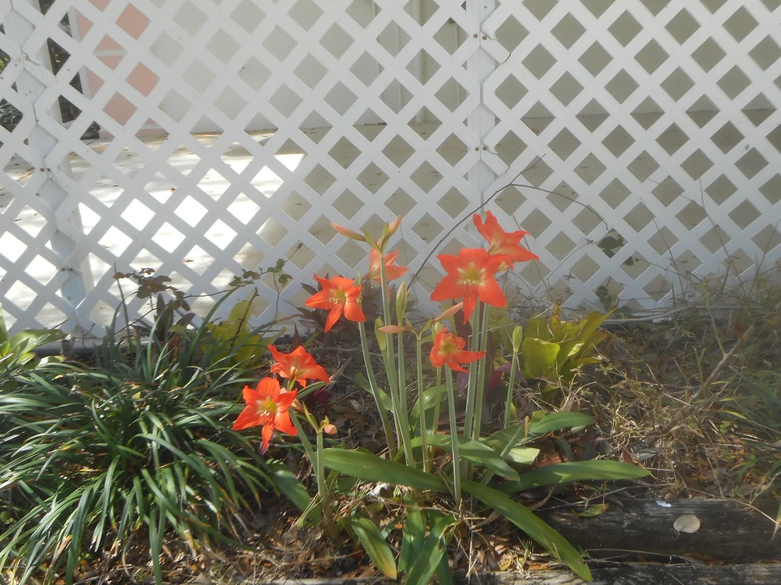Photo of 720 Central Boulevard