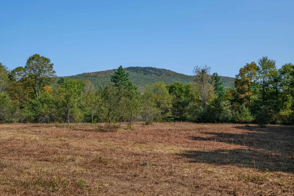 Unit for sale at 525 Station, Mount Holly, VT 05758