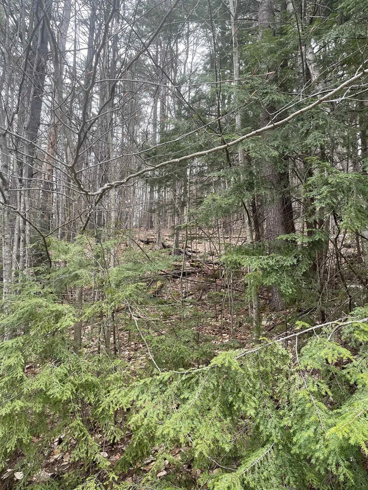 Unit for sale at 10-4-2 David Thompson, Campton, NH 03223