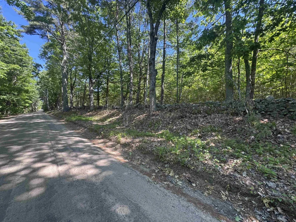Unit for sale at Lot 20.3 (TM4) John Hodgdon, Ossipee, NH 03864