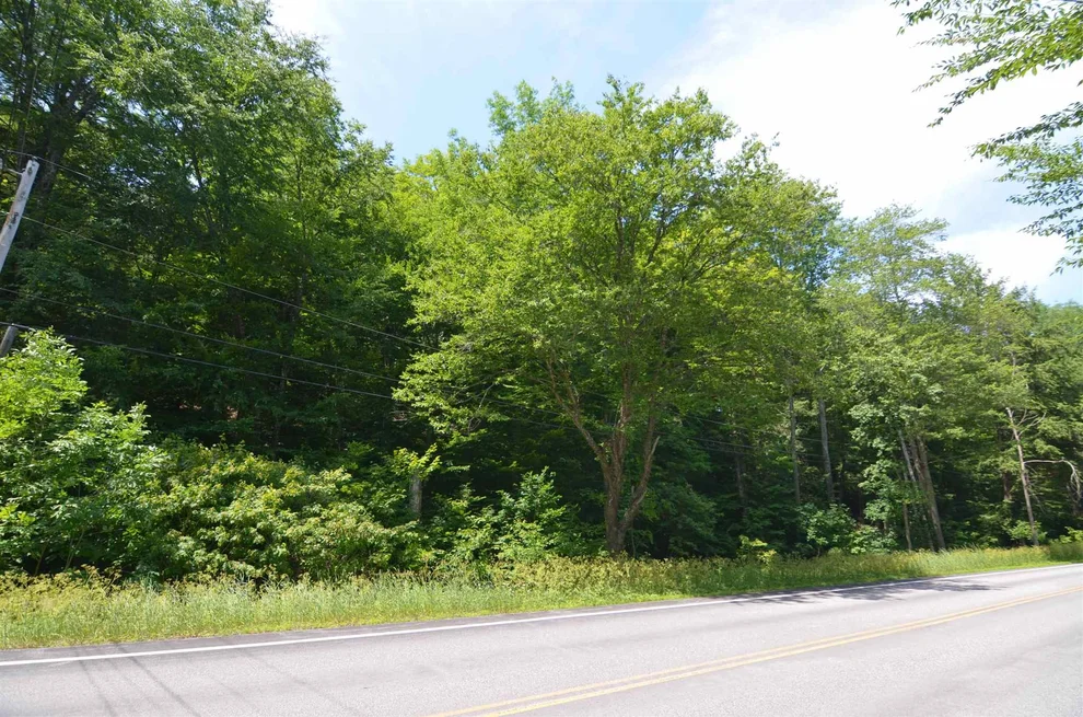Unit for sale at 1336 Route 100, Plymouth, VT 05056