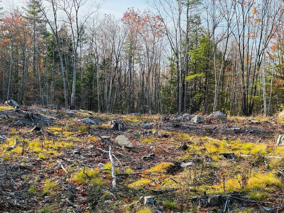 Unit for sale at Lot 70 Homestead, Barrington, NH 03825