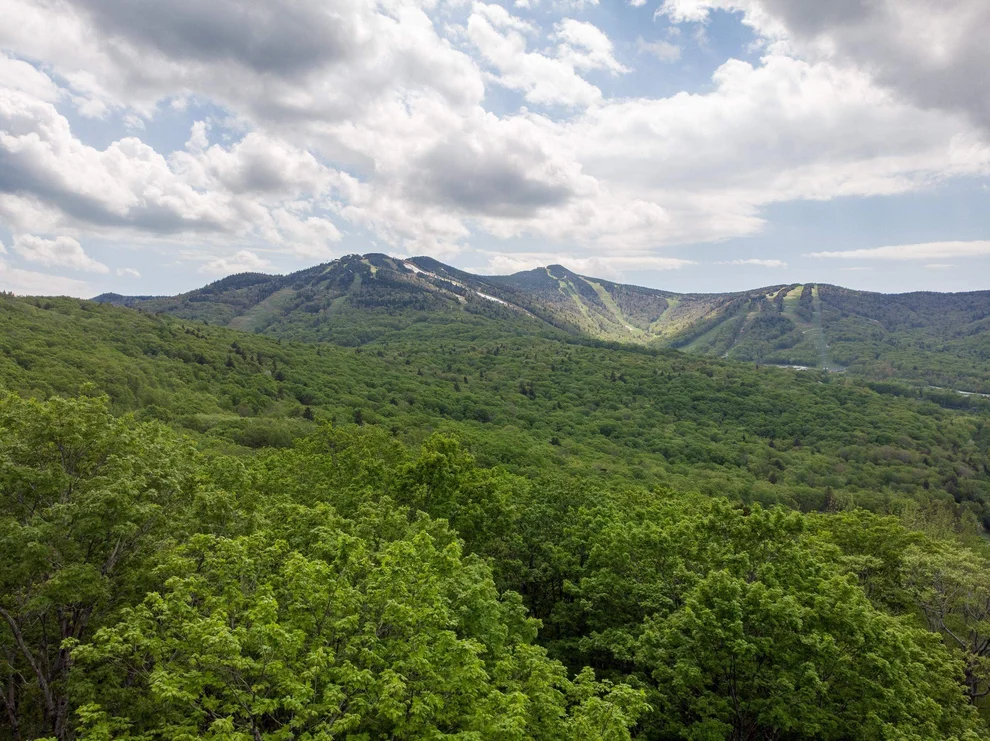 Unit for sale at Lot 5 Mountainside, Killington, VT 05751