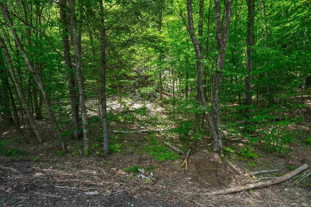 Unit for sale at 0 Route 100 N, Plymouth, VT 05056