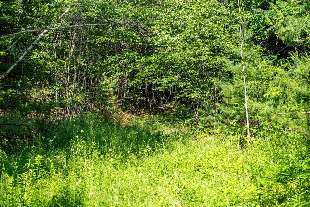 Unit for sale at Lot 4.2 Tommy Lot, Moultonborough, NH 03254