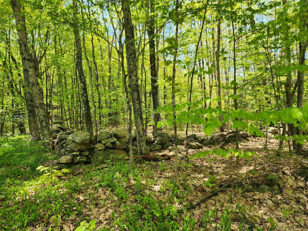 Unit for sale at 000 South Village, Westmoreland, NH 03467