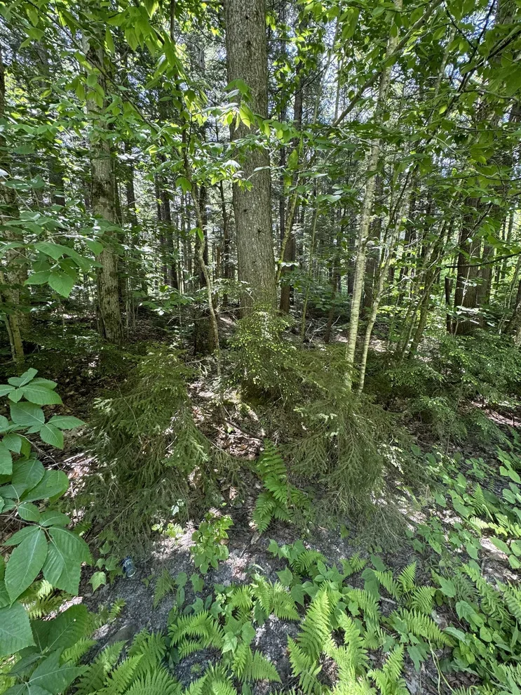 Unit for sale at 0 Boardman, Wardsboro, VT 05360
