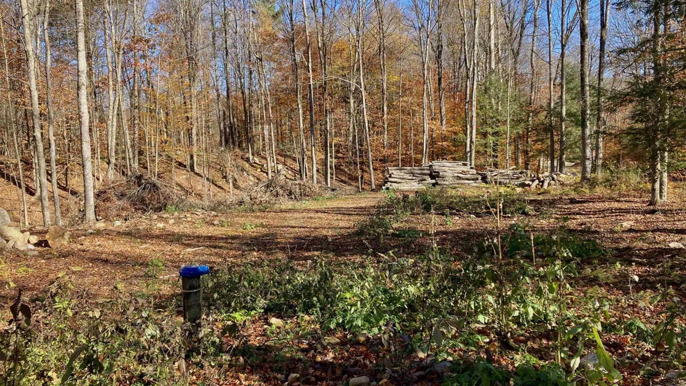 Unit for sale at 00 Lower Middle, Chittenden, VT 05763