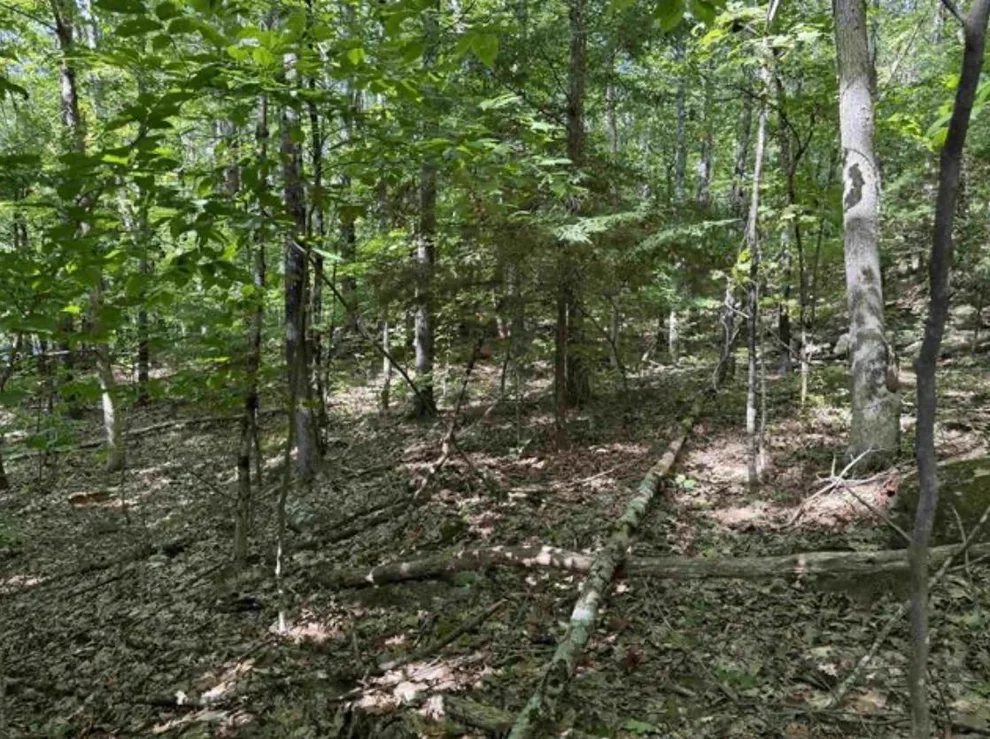 Unit for sale at Map 10 Lots 154,155,156 New Hampshire, Webster, NH 03303