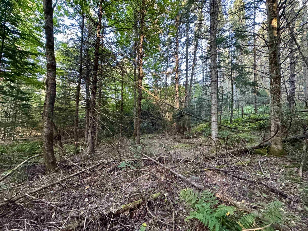 Unit for sale at Lot 6 Jennings, Colebrook, NH 03576