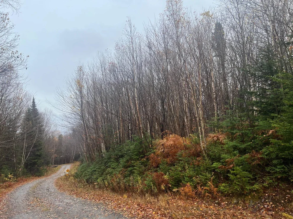 Unit for sale at - Hudson, Canaan, VT 05903