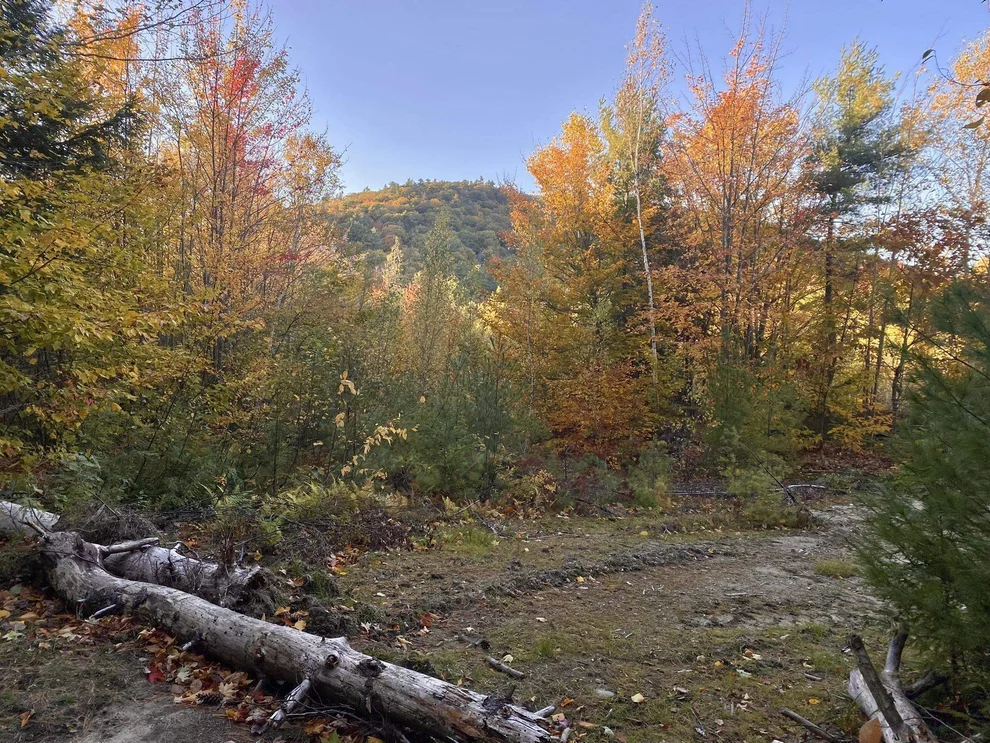 Unit for sale at Willis Bean, Eaton, NH 03832