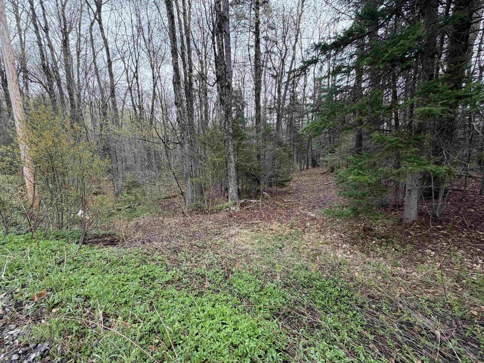 Unit for sale at 00 Lebensdorf, Readsboro, VT 05350