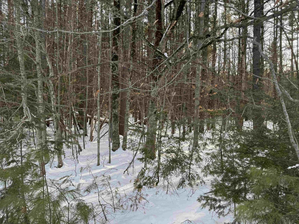 Unit for sale at 00 Route 25 W, Tamworth, NH 03883