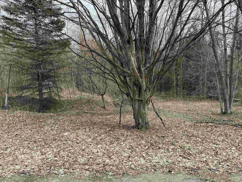 Unit for sale at 54 Adams School, Grand Isle, VT 05458