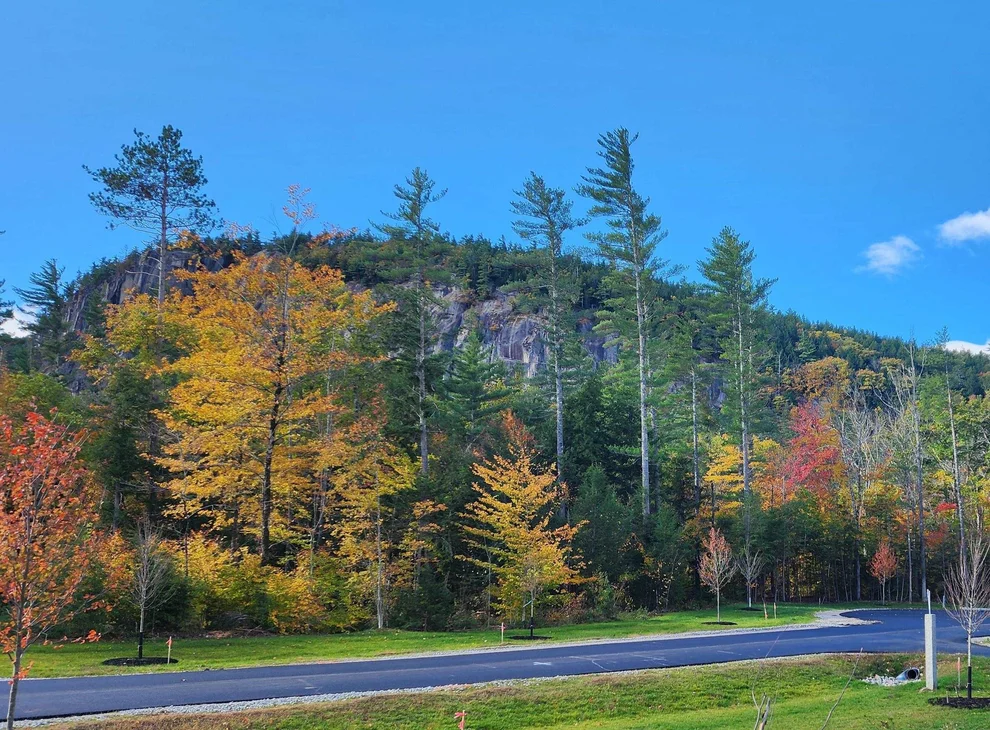 Unit for sale at 9 Lucy Brook, Conway, NH 03860