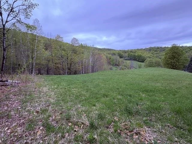 Unit for sale at 199 Arthur Morgan, Woodstock, VT 05091