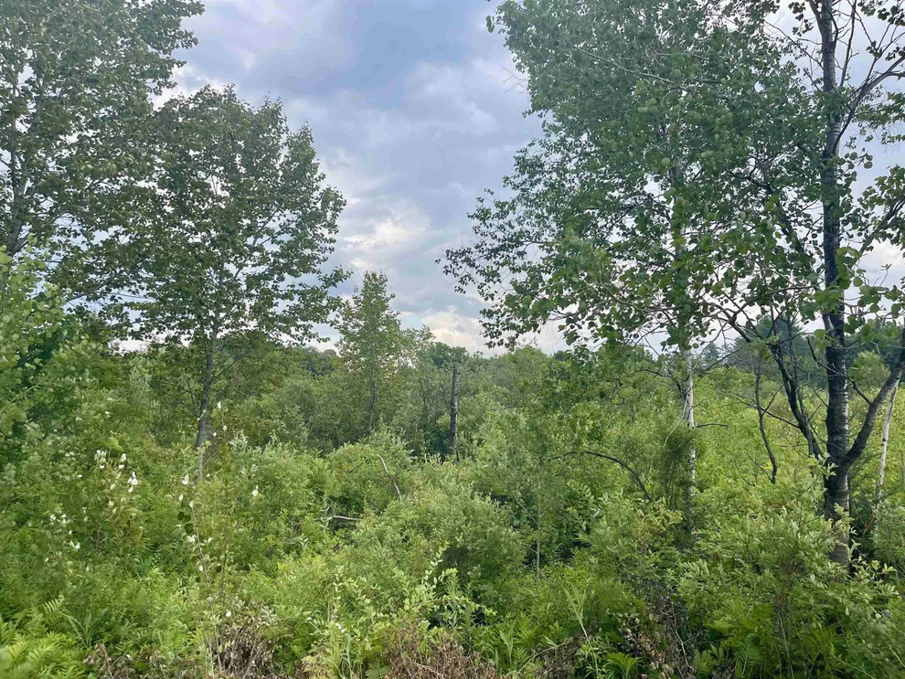 Unit for sale at 00 Gilman, Lyndon, VT 05851